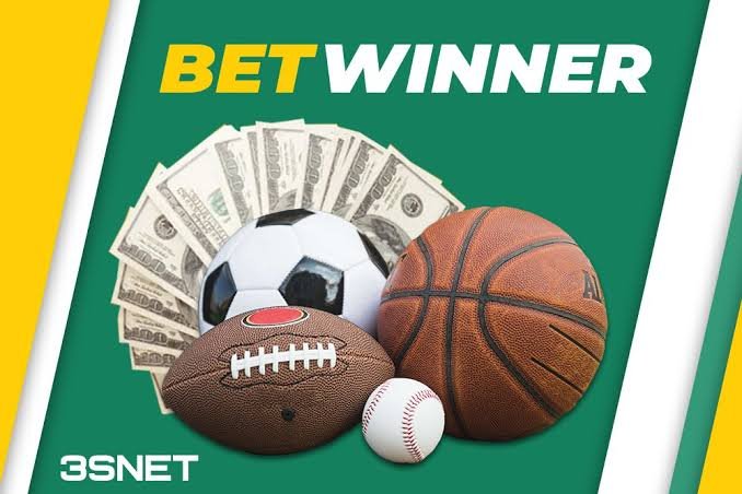 Experience the Thrill of BetWinner Casino A Comprehensive Overview